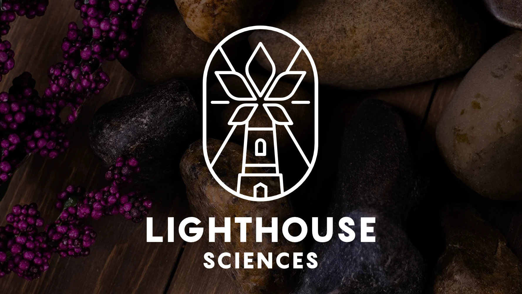 Cannabis Products Wellness Products Lighthouse Sciences 7961